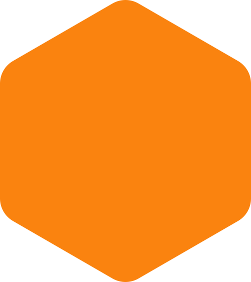 https://demo2.estates.co.tz/wp-content/uploads/2020/09/hexagon-orange-huge.png